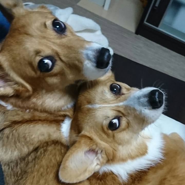 06c93c22 4aa4 4b89 b689 0a95ed252d07 1544519552231