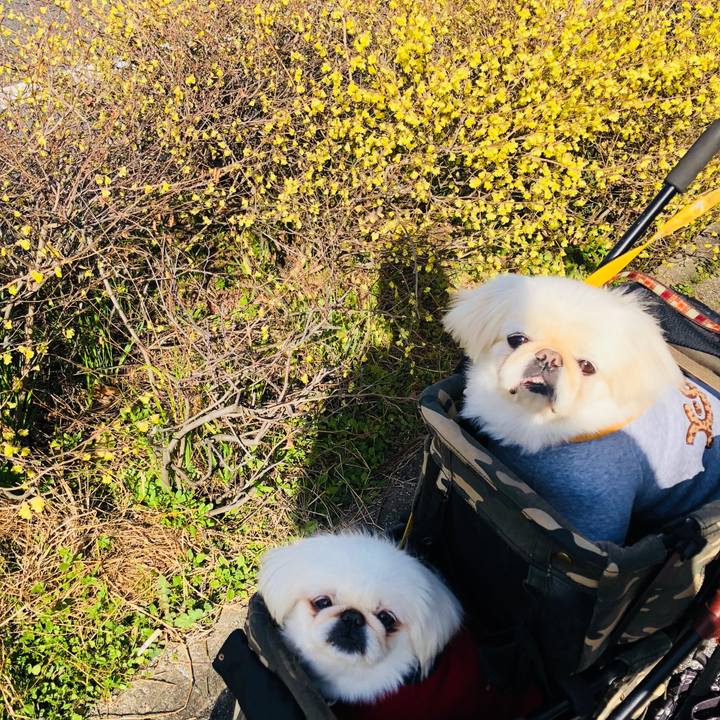 06c96917 bb40 4600 a769 890114e4ed93 1616209565192