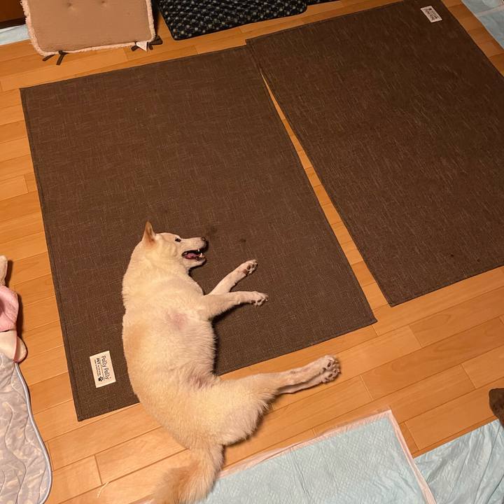 06c9a614 9048 40c1 87cd da9c31dfdec9 1661697939876