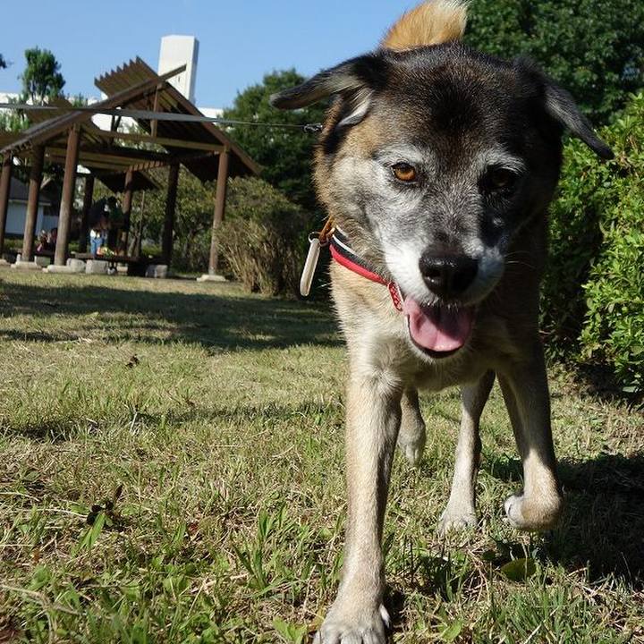 06c9c432 ba8b 485a 984f c5372cb0a6e2 1507511193047