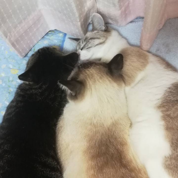 06c9dda1 d9ea 4437 a113 532e350f358d 1602847013772