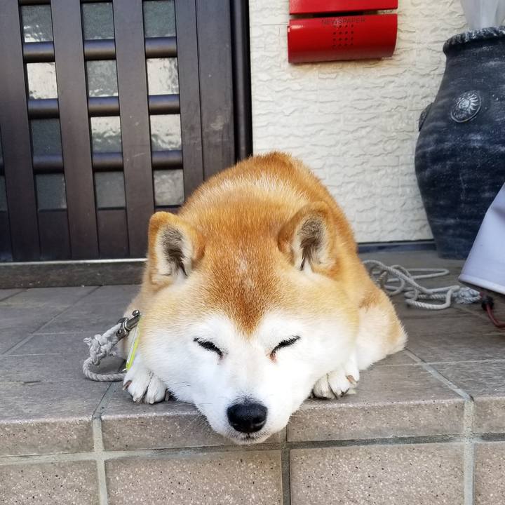 06ca261b 2d00 4ae6 95f9 5cb97b1a6e77 1650672168929