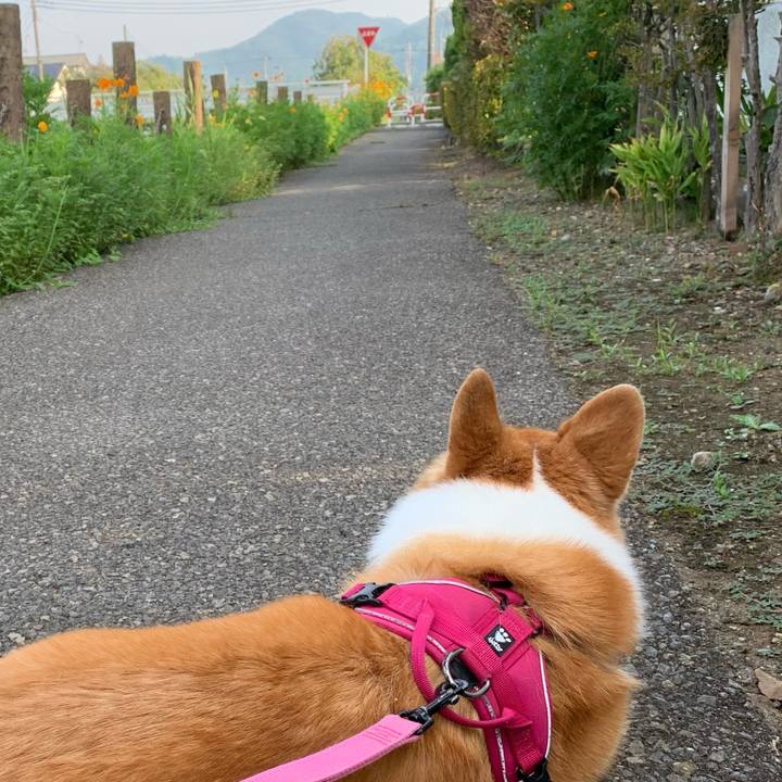 06ca2841 9845 475a 962c 6838fd40a559 1660600194371