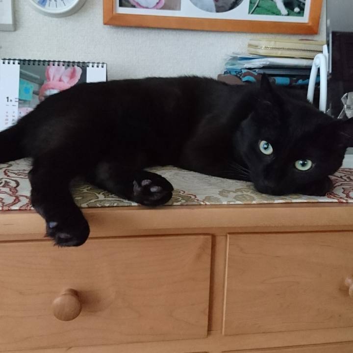 06ca3be9 2c1f 4433 94e0 c87505f096e8 1546236903000