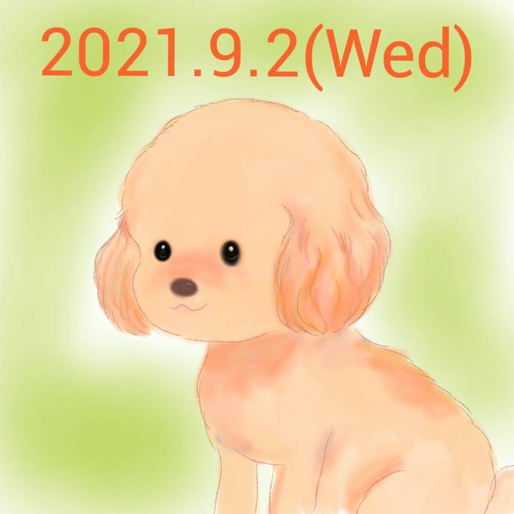 06ca4913 0a64 455e 95be 9008035e511f 1630581825591