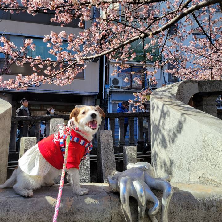 06ca5c9c 3b4a 4b1c bfc1 727e87575db5 1739156048048