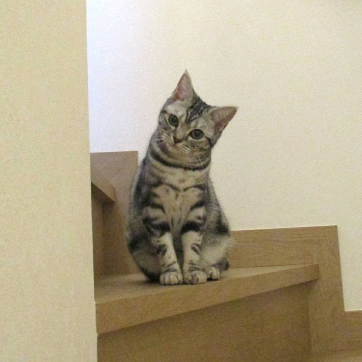 06ca5ef6 2d69 4f2a 9308 df2f1b08f539 1550978580834