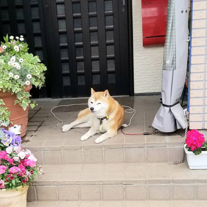 06ca6b37 ed60 4f85 9a90 a4060506c527 1652582079548