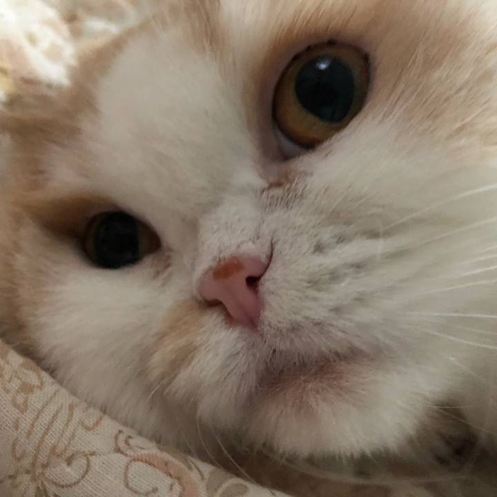 06ca708c 7dec 4910 93e2 cfa04ae62c4e 1621638256688