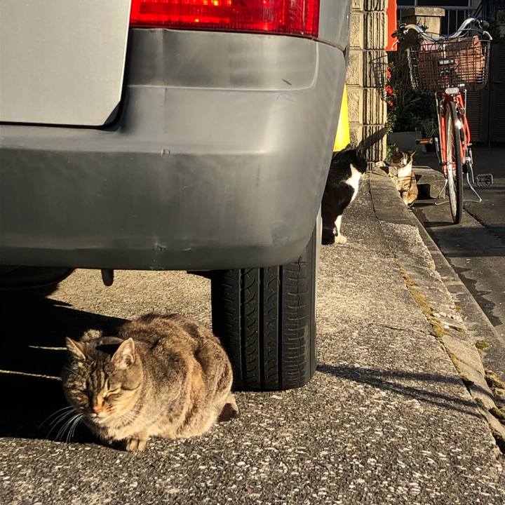 06ca8317 43a5 45cb af3c 4dacc57dc7c4 1548373952587