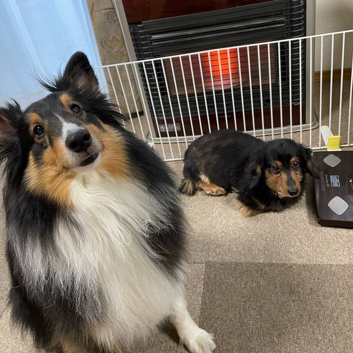 06ca9e88 6f23 4a4f 85f7 0671387bb26a 1614808404028