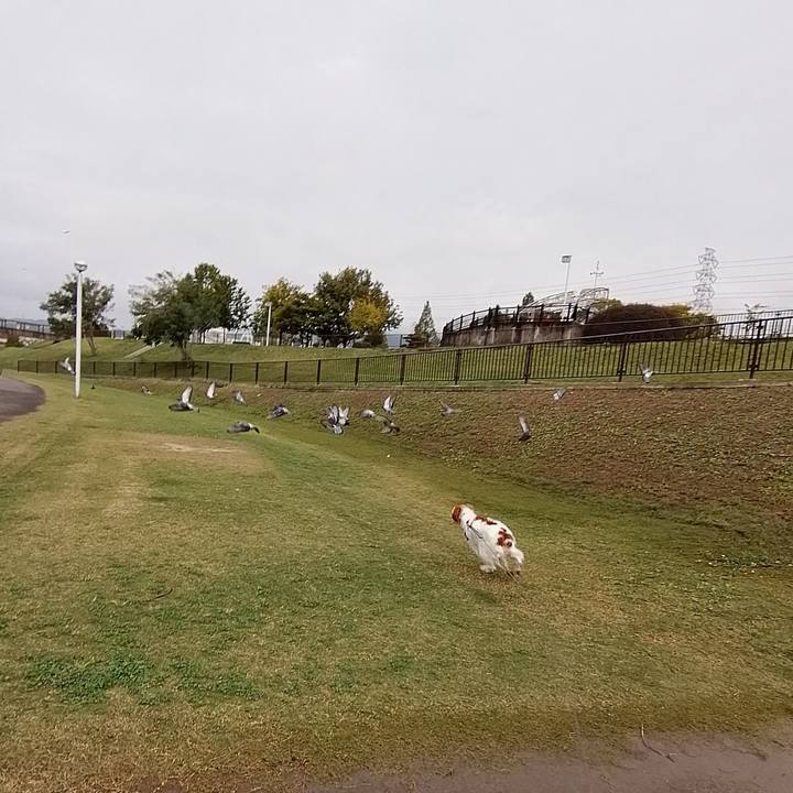 06cab799 2574 4037 aaf3 a1fc60b17247 1572336825571