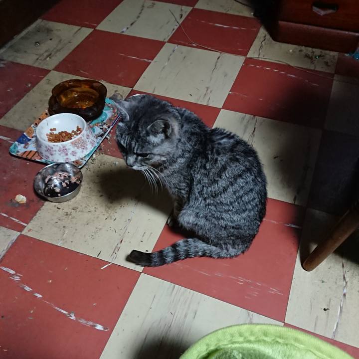 06cadc81 2c50 46b0 b05c d307f4439eee 1581536893669