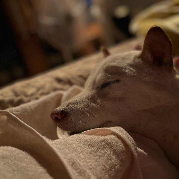 06cb6f30 74fe 4112 941e 17045115cad7 1648827581729