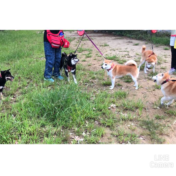 06cb766d a460 4ab2 93c9 669eae11ae68 1537698966505