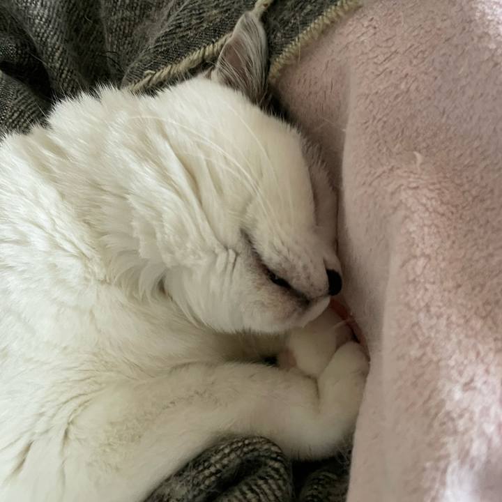 06cb96f5 4b5a 49c0 b6b6 32ba1120c8c6 1670370434418