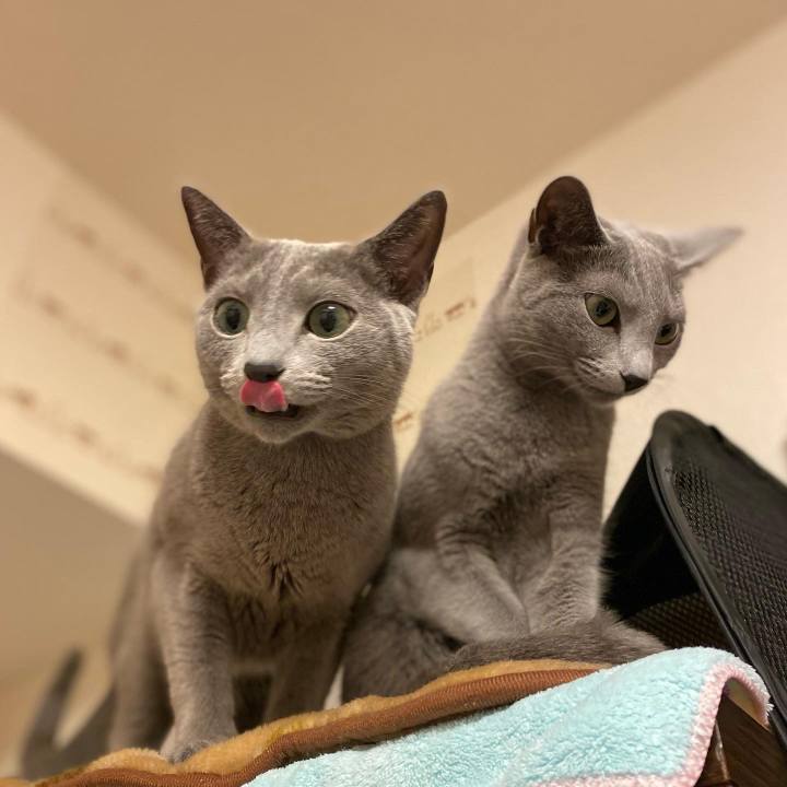 06cba442 a962 4b0b bf68 1c1406decb43 1646005300748