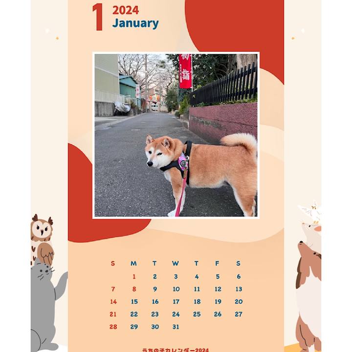 06cc0956 d330 49e8 8299 0a0905ed577c 1692507867039