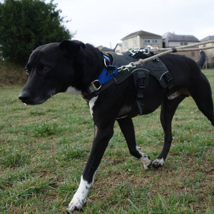 06cc4651 c688 4964 9b71 c3a3313e739c 1647304485737