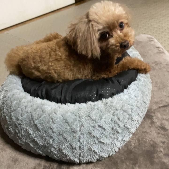 06cc50ea f1b3 40f5 8499 0509783976c4 1714482870477