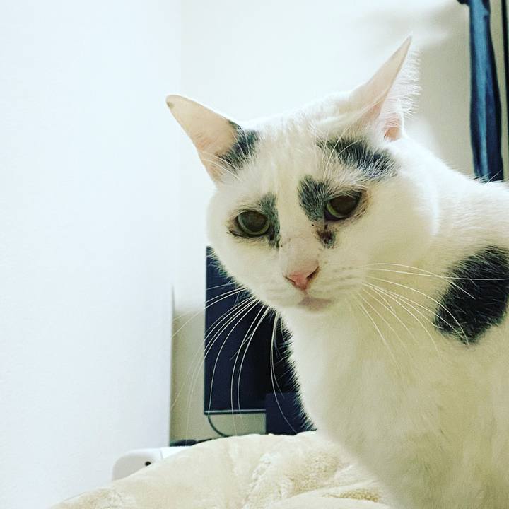 06cc6255 b2d3 469a 9b33 3819f6cef1da 1613393824291