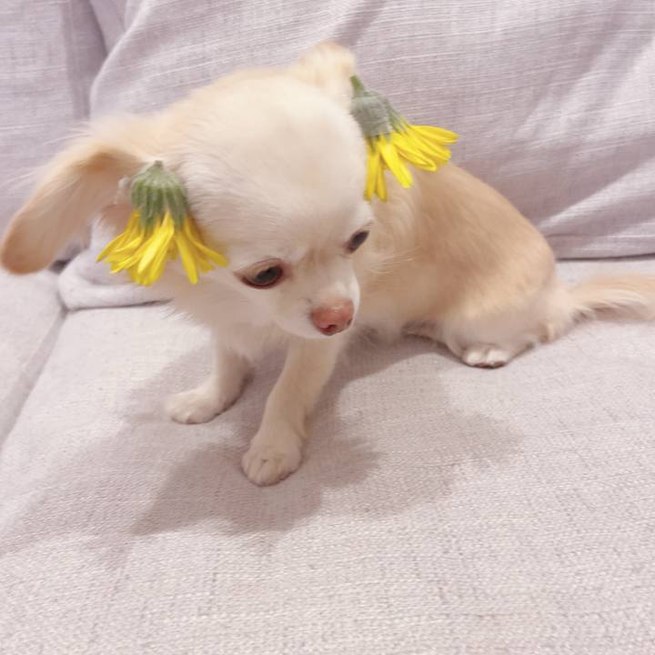 06cc6323 0fe2 4c7a adc9 653348221320 1701954208839