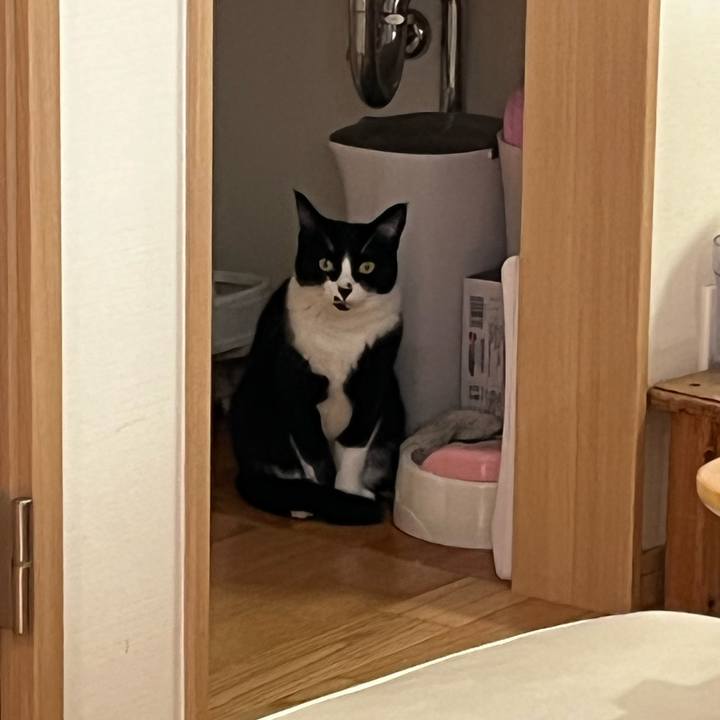 06cc7067 2309 4cb9 b88f 90a801dde51c 1667177959420