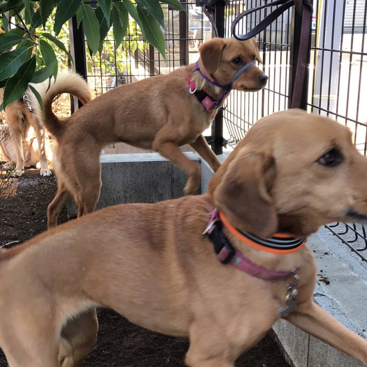 06ccc6ed aa7b 4d2b ad2c 7e32d10d4f44 1520045244989