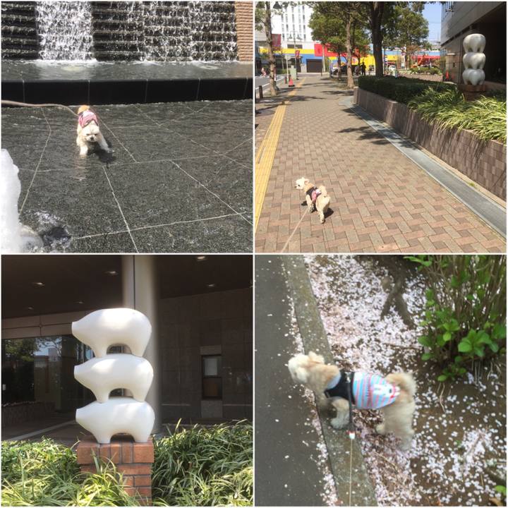 06cce006 b200 4306 b39e a4b759eacc2e 1554548589730