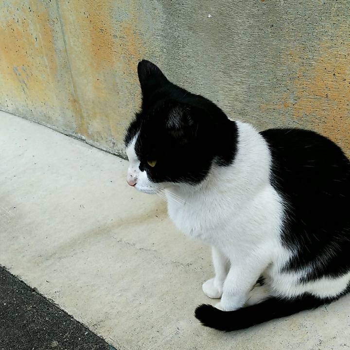 06cce011 8b59 4225 ade9 7c2b0b0b815e 1510812118823