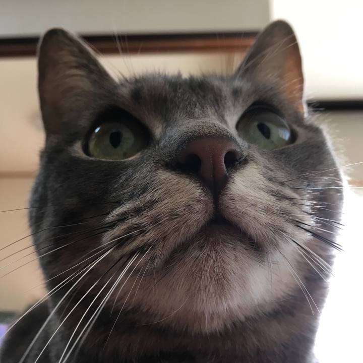 06cd00d5 e8e6 4361 be42 e1d67e140957 1516450737309