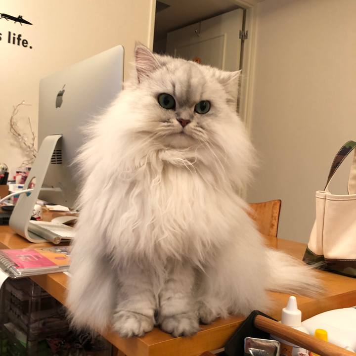 06cd1ce5 f590 4cab 9722 a9f8e6f9c54f 1514101881850