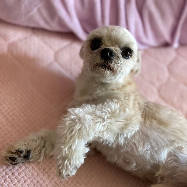 06cd1fad fb61 4bc3 91db 46d486980788 1577597226038