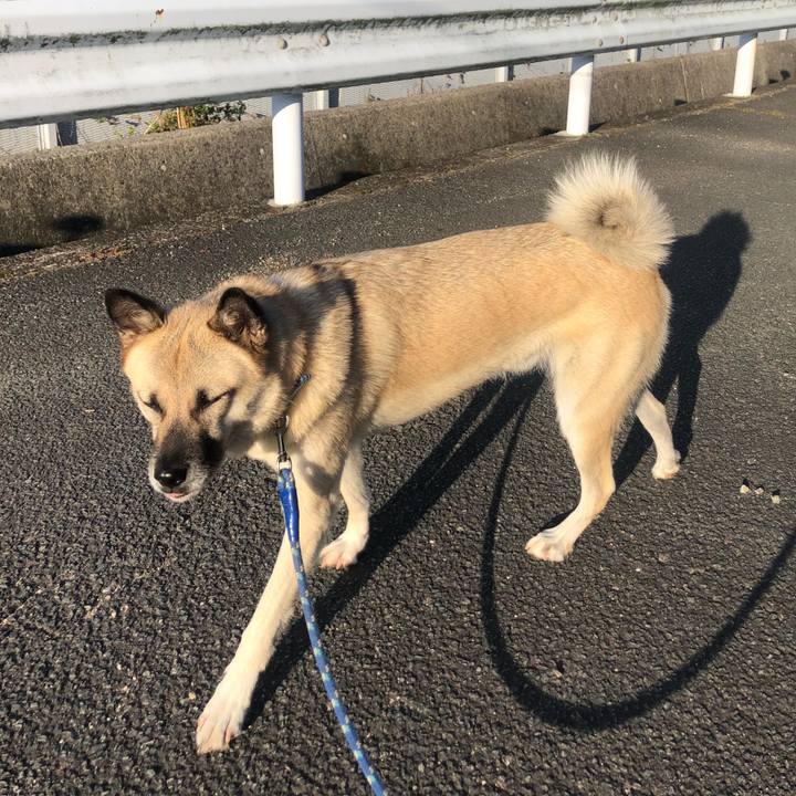 06cd43c1 aa2e 44f5 8444 330711e4cfec 1601377990063