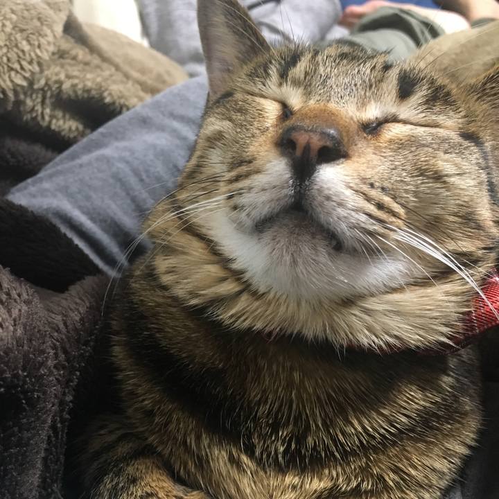 06cd90db 9f74 4cf7 be8f 8773fef6870a 1546514251850