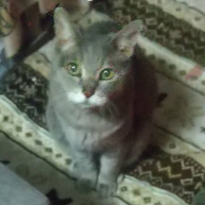 06cdb1f3 bd42 4fb7 a115 503f870f2b94 1676735438926