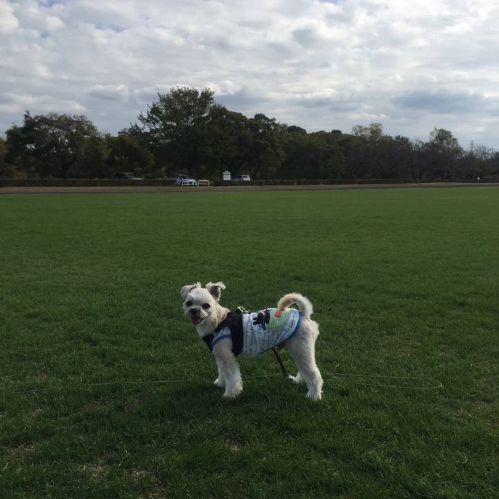 06cdb9d3 ad5f 4cbd b18d 8590b38733a0 1541582836385