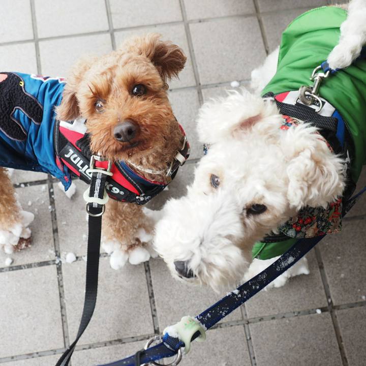 06cdf740 d98d 410b bf0c 5c3f257904cc 1515912975149