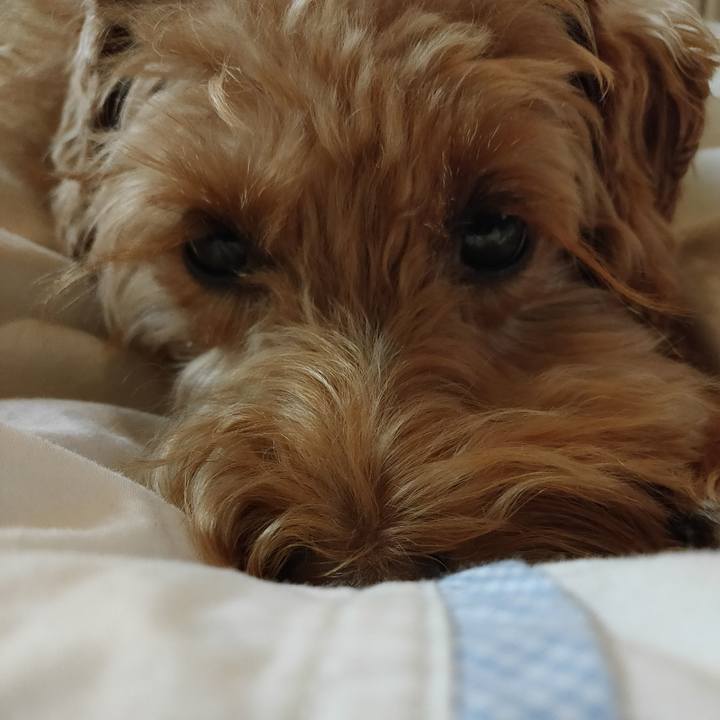 06ce9a6b 349d 44e0 befc e96b415b9fbf 1602592410382