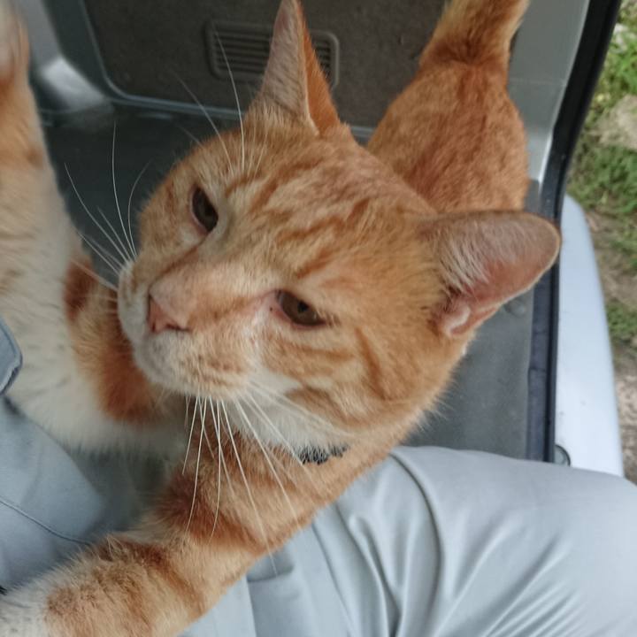 06cea8c2 1248 4fe6 891b 3a8315df193e 1566809550421