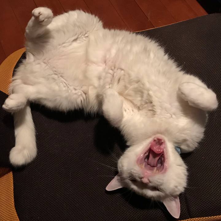 06ceb22a 7fb5 40a6 8930 a77a92c2dc6f 1545901116213