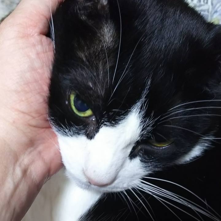 06cee10b cfdb 4c6a 9b68 0bdbc87d0fc8 1575761538119