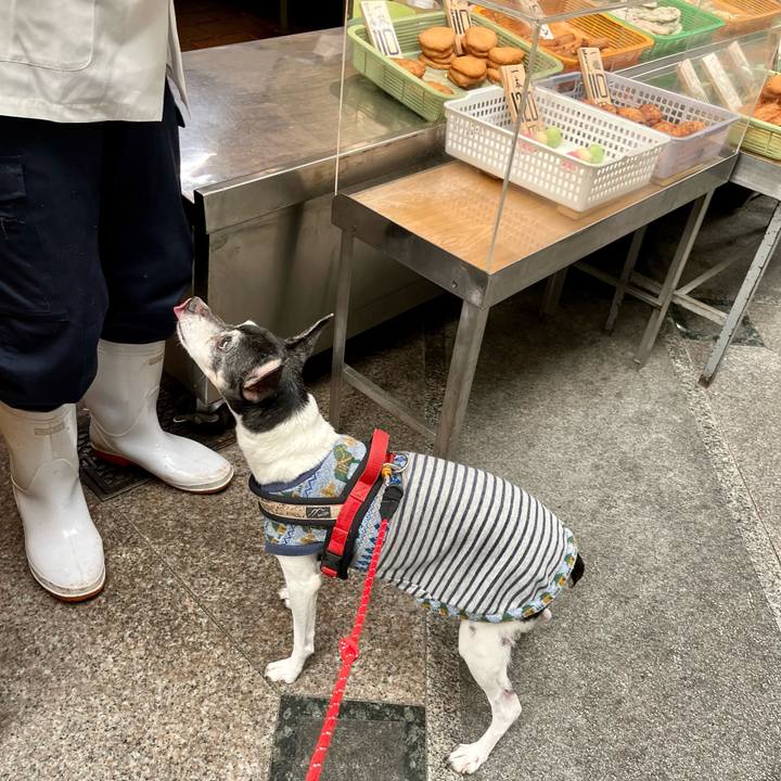 06cf104e 8e07 44d9 b32c 63c302f955f0 1635654160143