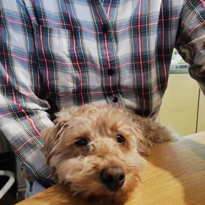 06cf22a9 b0b3 44a9 8786 aa0e397d921f 1555362936430