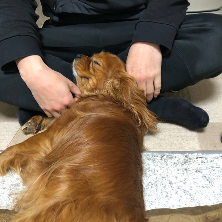 06cf394f c89e 4e85 ac79 7aa22e3a051d 1613600609385