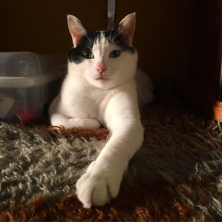 06cf6b00 5b5d 443a 8686 05648b51d772 1590705650304