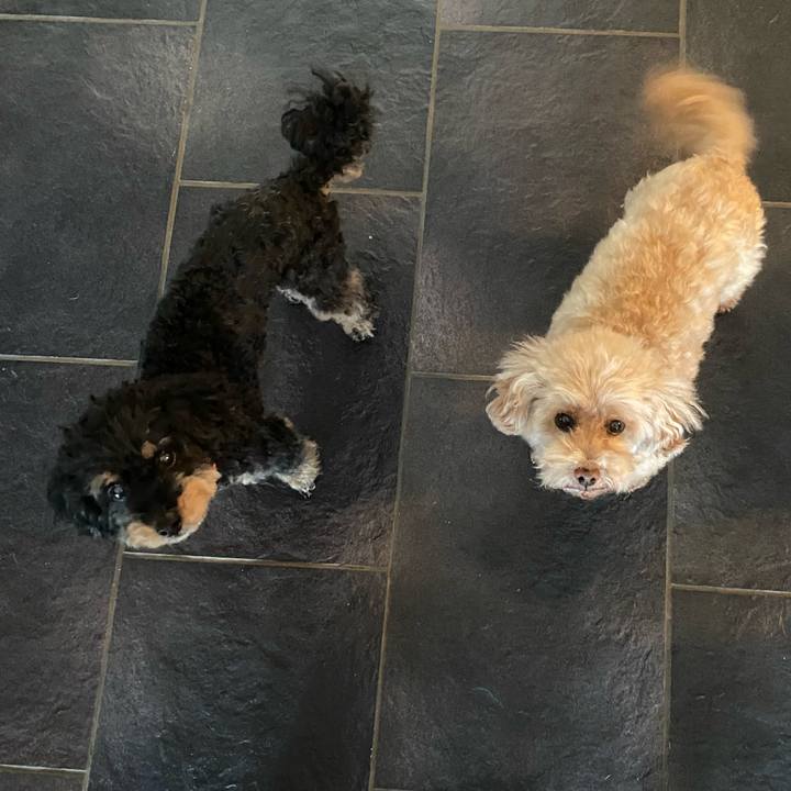 06cf7a55 b8ac 4d13 9cee cf4b743ef78e 1720032078266