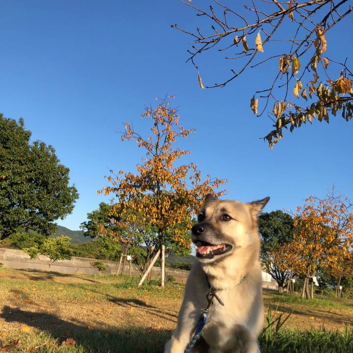 06cf9dcf e98b 485f b70c 7cf5c4ad4128 1634988524982