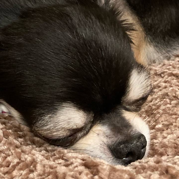 06cfb88e 9709 4ef0 b05b 7c7b75272f7c 1648391013792