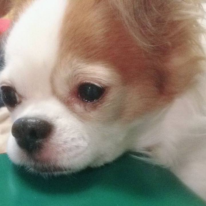 06cfb935 21ec 4289 b459 3c8cebed0c99 1518779913565